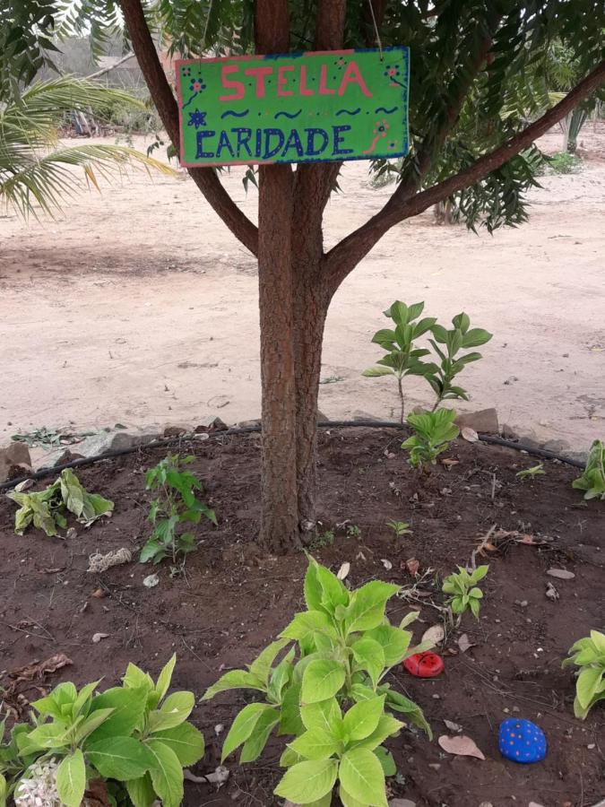 Chale Com Vista Privilegiada Pilões de Dentro Kültér fotó
